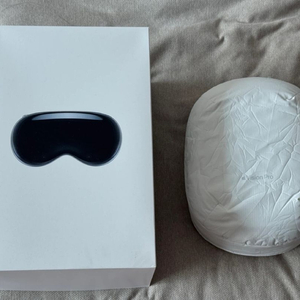 애플 비전프로 512GB + 정품 여행용 케이스 팝니다