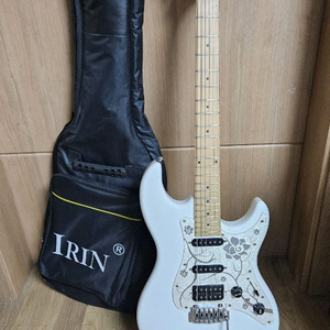 데임 Dame saint T250 가성비 일렉기타 싱싱험