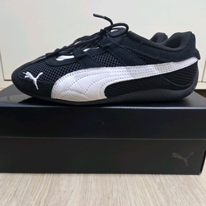 푸마 스피캣 고