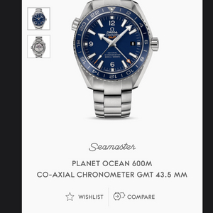 오메가 씨마스터 플래닛 오션 GMT 시계 이미지