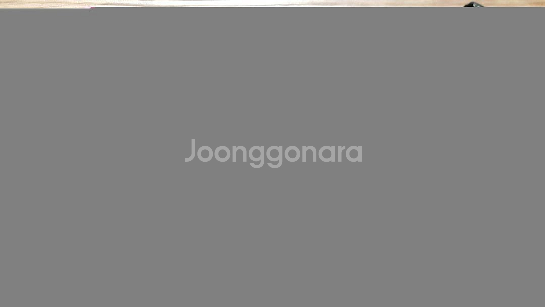 사이즈 55 66 원피스 가을겨울 7부 ENC 갭--9