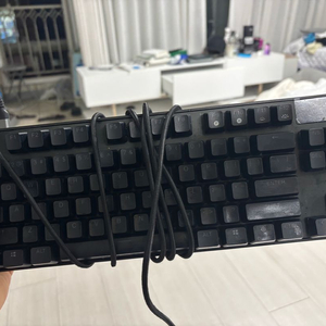 레피드 트리거 스틸시리즈 apex pro tkl wl