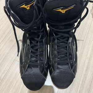 미즈노 미드컷 복싱화 280