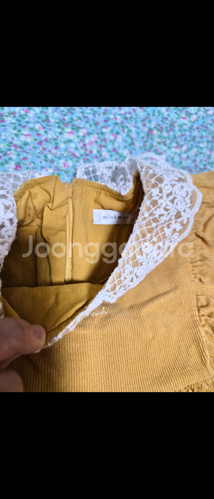 아폴리나 레이스 카라 원피스--1