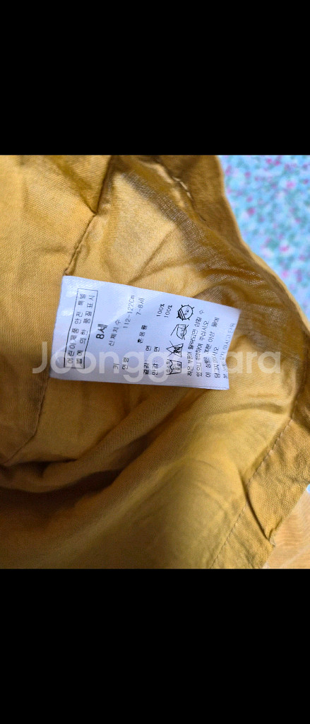 아폴리나 레이스 카라 원피스--2