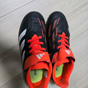 아디다스 프레데테 풋살화 225