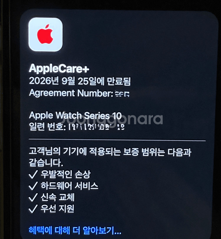 애플워치10 42mm 티타늄골드+모던버클 애플케어--3