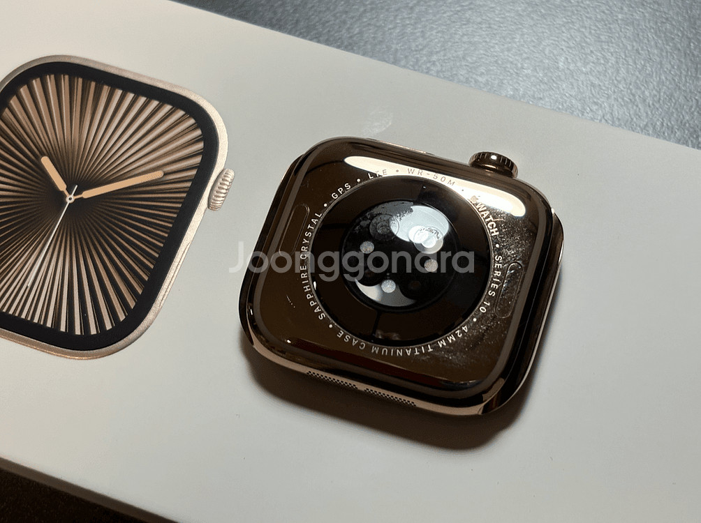 애플워치10 42mm 티타늄골드+모던버클 애플케어--2