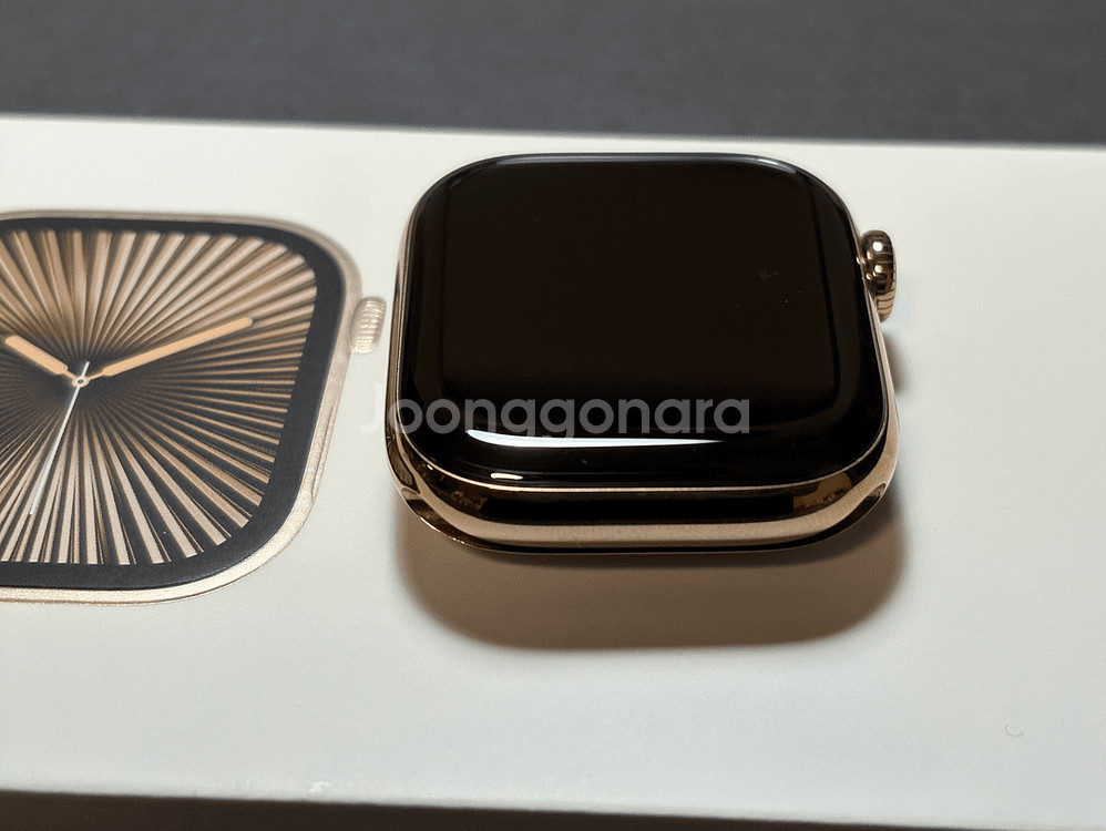 애플워치10 42mm 티타늄골드+모던버클 애플케어--9