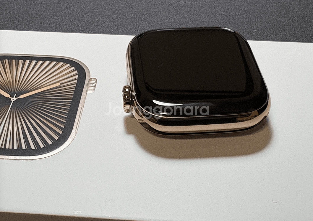 애플워치10 42mm 티타늄골드+모던버클 애플케어--8