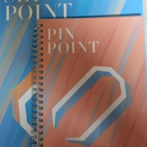 홍준용 개념완성 핀셋 PIN/SET 교재 대성마이맥 2 이미지