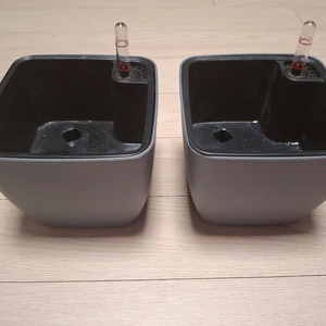 안스리움,저면관수 화분 2개일괄