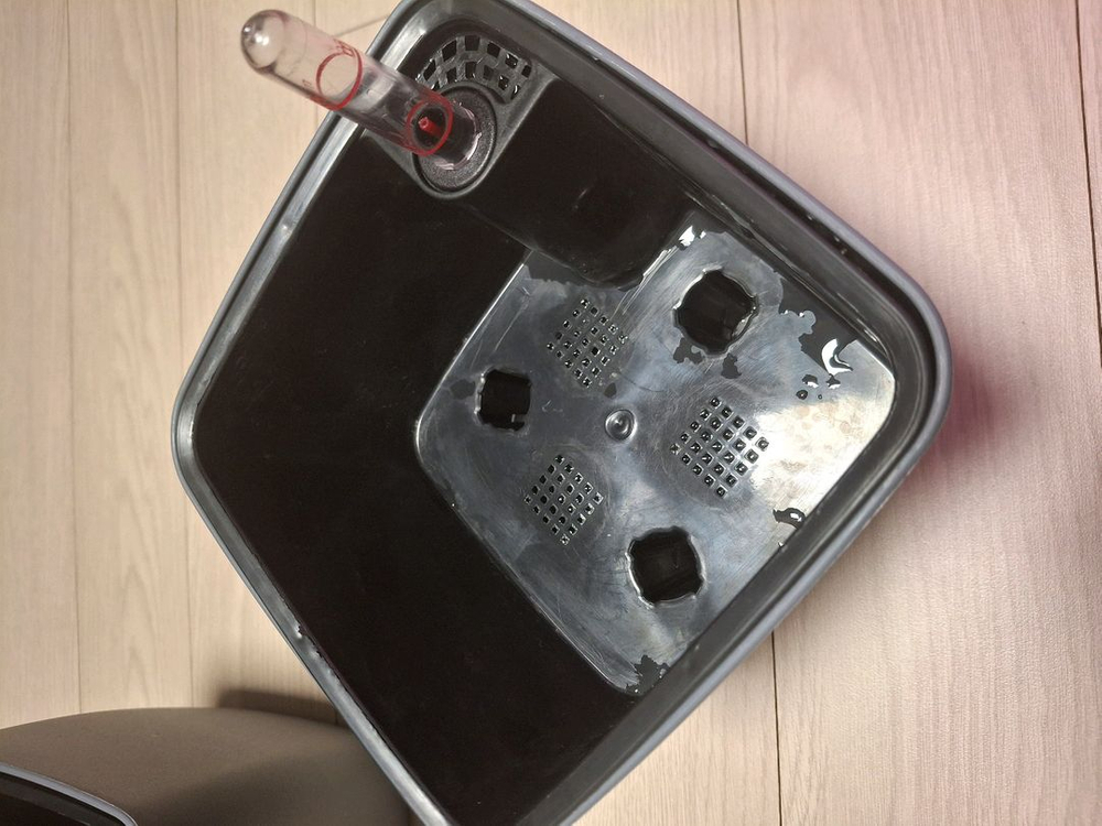 안스리움,저면관수 화분 2개일괄--1