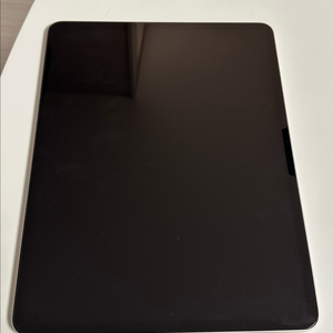 아이패드에어13 m3 256GB