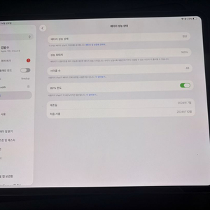 아이패드 프로 M4 13인치 256기가