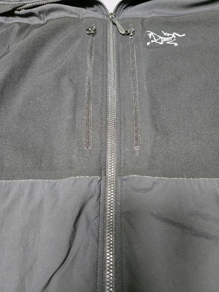 아크테릭스 프로톤 FL 후디 L 판매--1