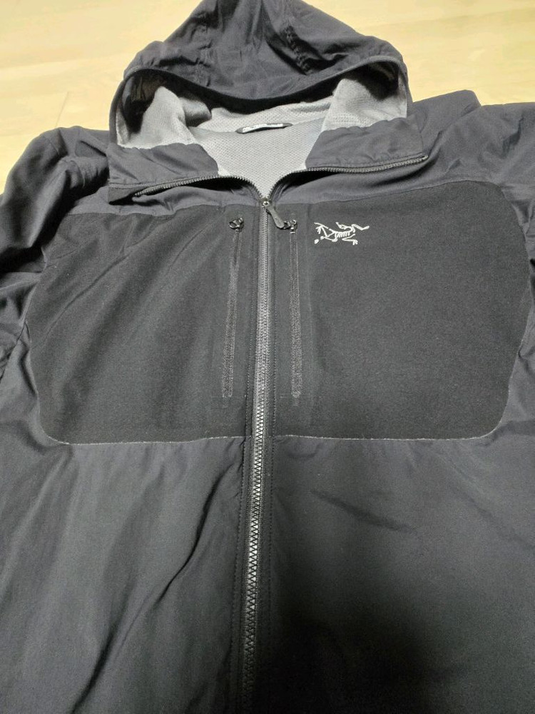 아크테릭스 프로톤 FL 후디 L 판매--2