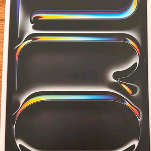 미개봉) 아이패드 프로11 M5 256g 실버