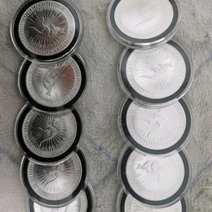 2020 호주 캥거루 실버코인 10개