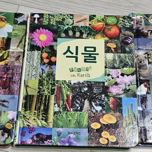 본우드블럭50피스, 식물동물 곤충3종, 옥토넛 의사놀이 등