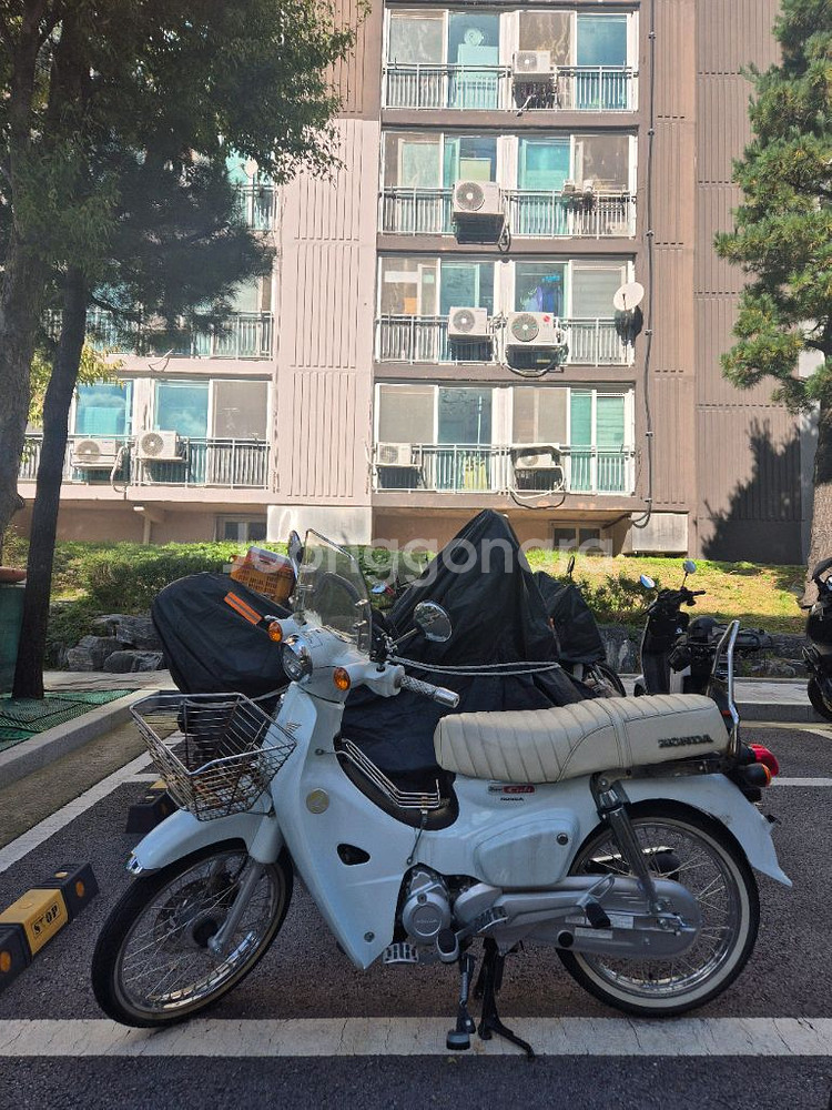 혼다 슈퍼커브 23년식 짧은 키로수 팝니다--1