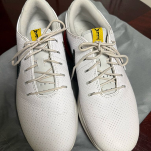 나이키 에어 줌 인피니티 투어 골프화 DV6798-101