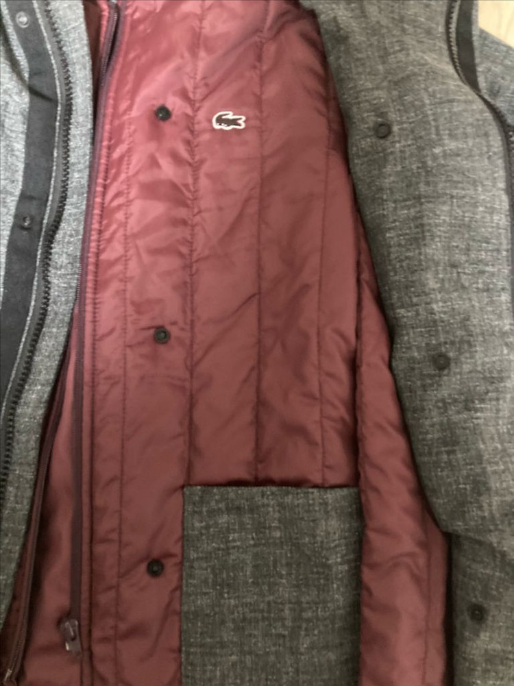 라코스테,라코스테점퍼--4