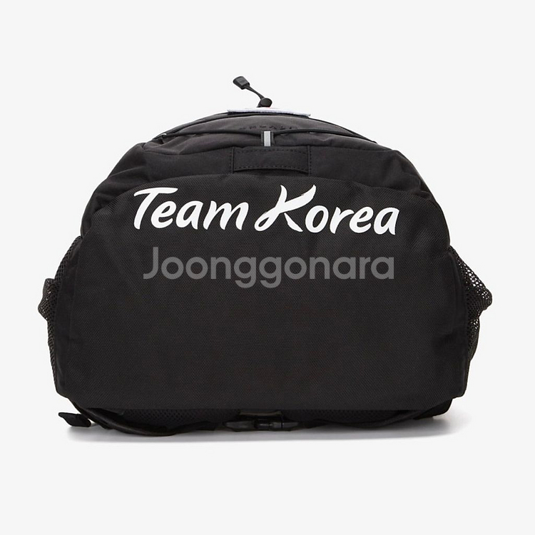 새상품) 노스페이스 팀코리아 백팩(보레알리스 2)--4