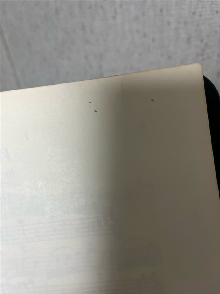 쉴러 변주곡 on Nel cor piu non mi sento 플루트 플룻 악보--3