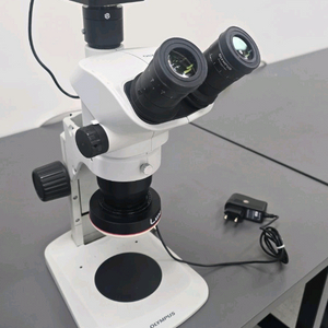 올림푸스 실체현미경 SZ61TR CAMERA 이미지