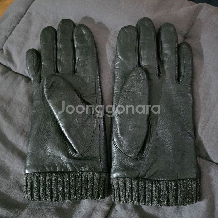 CK 남성용 가죽 장갑--1