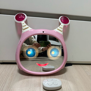 밴밧 올리 카미러 후방거울