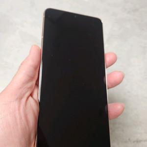 갤럭시 S21 플러스 퍼플