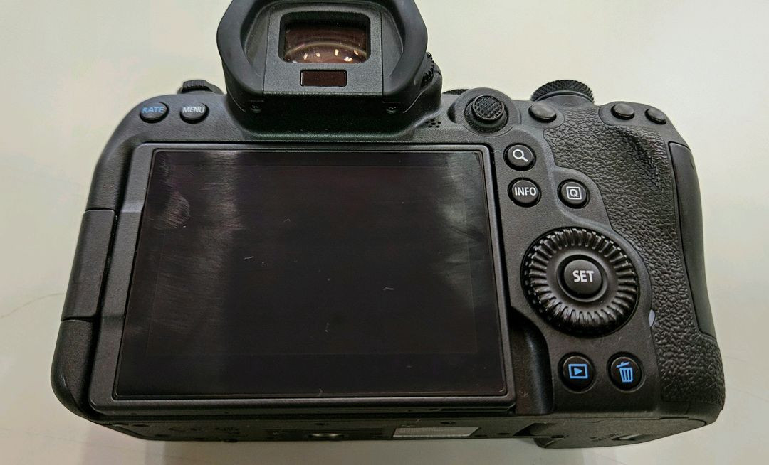 캐논 풀프레임 미러리스 R6m2 EOS R6 Mark II 알육막투 이미지