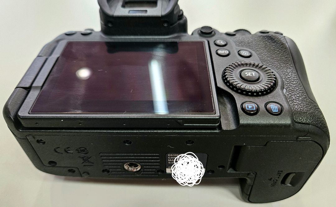 캐논 풀프레임 미러리스 R6m2 EOS R6 Mark II 알육막투 이미지