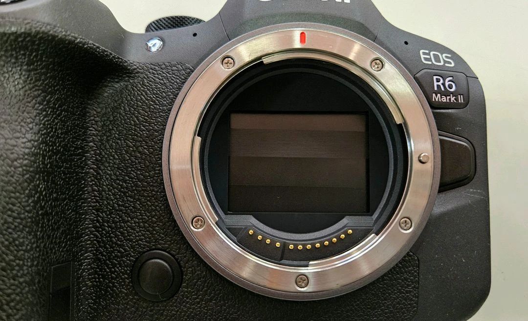 캐논 풀프레임 미러리스 R6m2 EOS R6 Mark II 알육막투 이미지