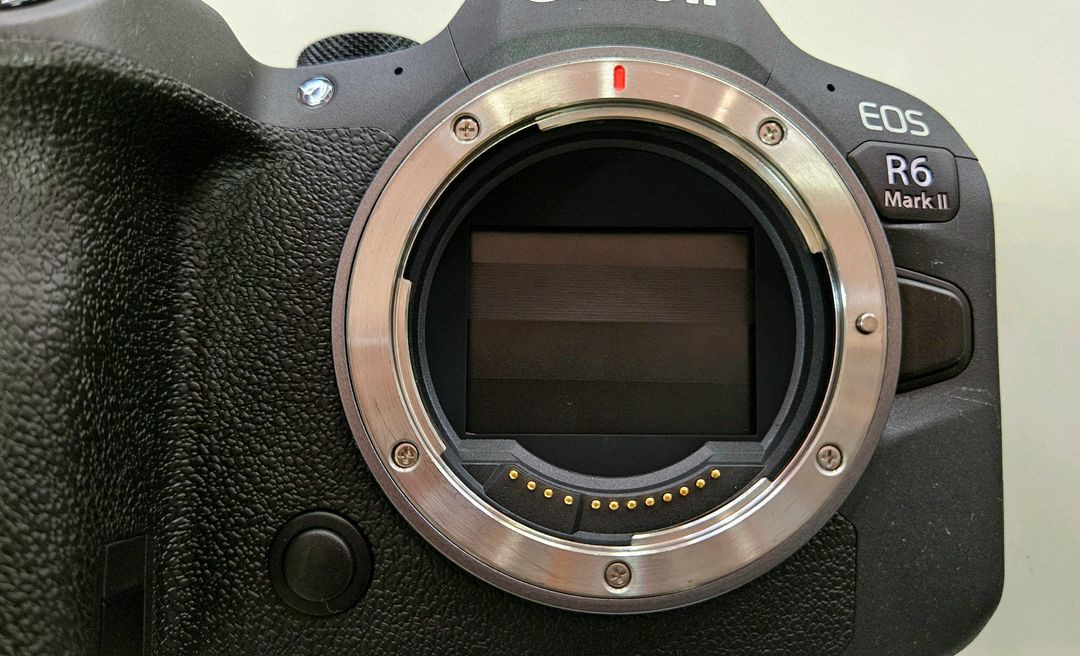 캐논 풀프레임 미러리스 R6m2 EOS R6 Mark II 알육막투 이미지