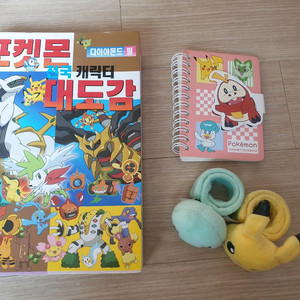 포켓몬 전국 대도감 마그넷 팔찌 수첩 등