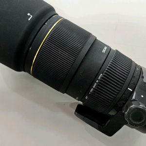 시그마 70-200mm F2.8 캐논용 손떨방x 옆집엄마백통 전투형