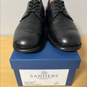 샌더스 bgs 플레인토 더비