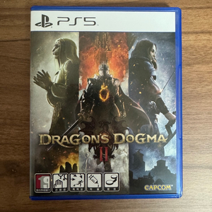 [PS5] 드래곤즈 도그마 2