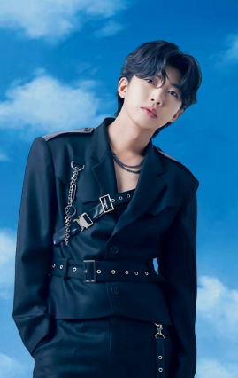 임영웅 공연 티켓 양도--0