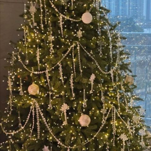 호랑이_집게핀세트_당근