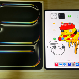 애케플)아이패드 프로 m4 13인치 256GB WiFi팝니다