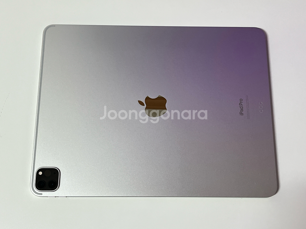 아이패드 프로 6세대 12.9인치 / 256GB Wi-Fi / 실버 / 89%--2