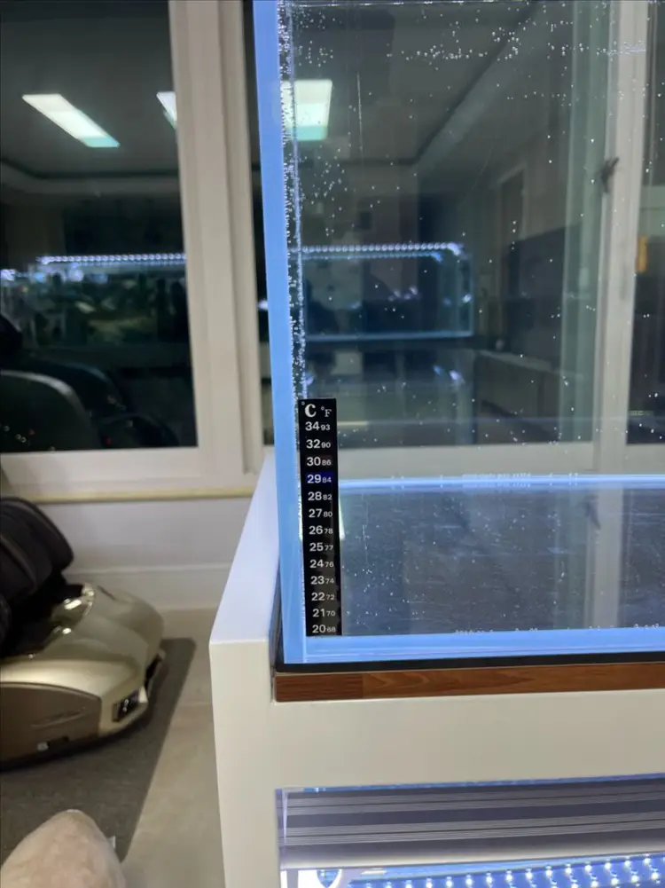 (경기 북부) 아쿠아가든 3자 광폭 수조 90x45x45 10T 축양장 어항 뚜껑 세트 A급 판매 이미지