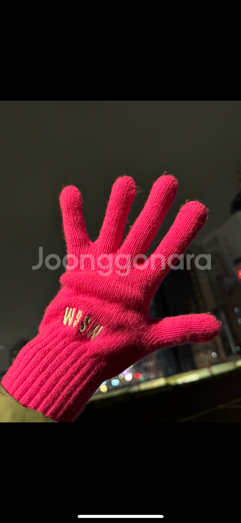 MSGM장갑 팔아요--0