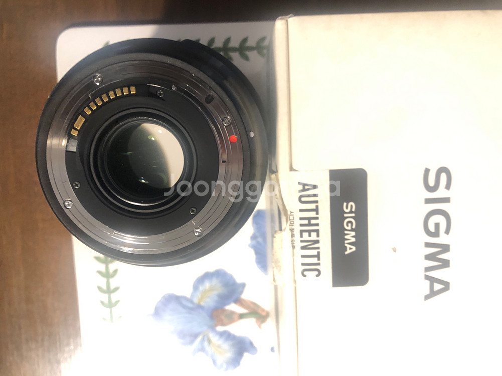 시그마 24-70mm F2.8 DG 렌즈--3