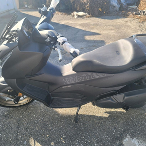 존테스 350d 미등록 신차