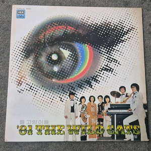 들고양이들 LP판